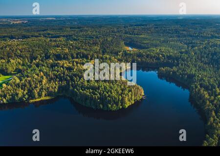 Vue aérienne sur le lac de la forêt sauvage en Lituanie Banque D'Images