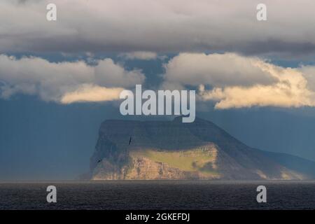 Cap Enniberg, à 754 mètres, l'une des plus hautes falaises verticales du monde, Viooy, Djupini, Norouroyggjar, îles Féroé, Danemark Banque D'Images