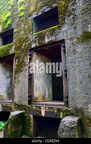 Bunker, Forest Settlement, Mamerki, Wegorzewo, Warmia-Masuria, Forêt de murs, Angerburg, Warminsko-Mazurskie, Pologne Banque D'Images