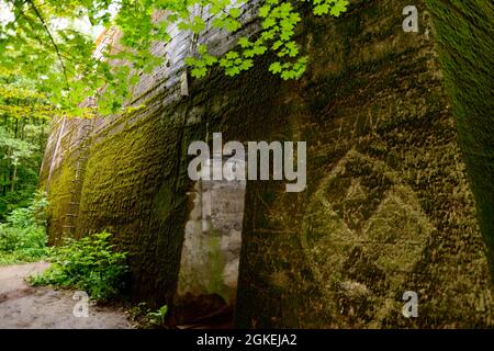 Bunker, Forest Settlement, Mamerki, Wegorzewo, Warmia-Masuria, Forêt de murs, Angerburg, Warminsko-Mazurskie, Pologne Banque D'Images