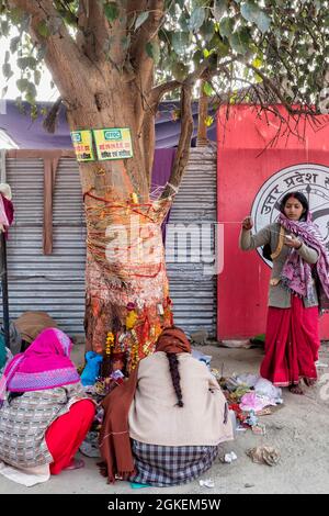 Une femme indienne encerclt l'arbre Bodhi. Allahabad Kumbh Mela, le plus grand rassemblement religieux au monde, Uttar Pradesh, Inde Banque D'Images