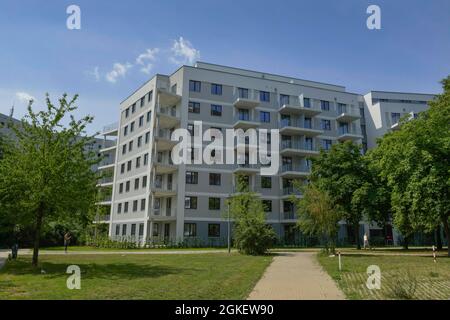 Immeuble d'appartements, immeuble résidentiel, construction de plaques préfabriquées, Flaemingstrasse 70, Ahrensfelde, Marzahn, Marzahn-Hellersdorf, Berlin Banque D'Images