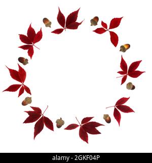 Résumé couronne de Thanksgiving d'automne sur fond blanc avec des feuilles d'érable et des glands colorés. Composition naturelle minimale pour l'automne. Banque D'Images