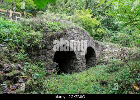 Vieux fours à chaux disused à Rosemary Topping dans la forêt de Dean, Bicknor anglais, Gloustershire, Angleterre, Royaume-Uni Banque D'Images