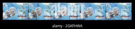 5 PCS SET Stamp imprimé à HONG KONG, Chine montre l'image du monde sous-marin de Hong Kong, vers 2019. Banque D'Images