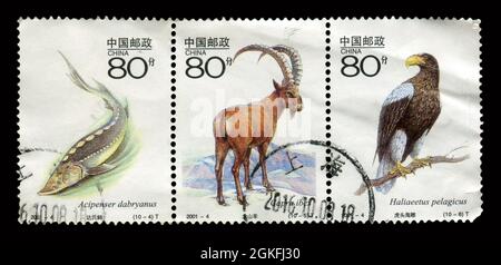 3 SCP SET Stamp imprimé en Chine montre l'image des 2001-4 principaux animaux sauvages sous la protection de l'État de première qualité en Chine, vers 2001. Banque D'Images