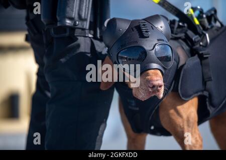 Le canin Feco de la Garde côtière et son maître-maître Petty Officer de 1re classe Cory Sumner, membres de l'équipe de sécurité et de sûreté maritimes de San Francisco, attendent une ligne de levage à partir d'un hélicoptère Dolphin MH-65 de la station aérienne de San Francisco lors de l'entraînement dans la baie de San Francisco, le 13 avril 2021. L'entraînement de levage permet au canin et à son manipulateur de travailler confortablement à l'intérieur et autour de l'avion. Banque D'Images