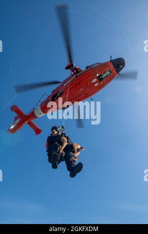 Le FECO et son maître-maître Petty Officer de 1ère classe Cory Sumner, membres de l'équipe de sécurité maritime de San Francisco, sont hissés à un hélicoptère Dolphin MH-65 de la station aérienne de San Francisco lors d'une formation dans la baie de San Francisco, le 13 avril 2021. L'entraînement de levage permet au canin et à son manipulateur de travailler confortablement à l'intérieur et autour de l'avion. Banque D'Images