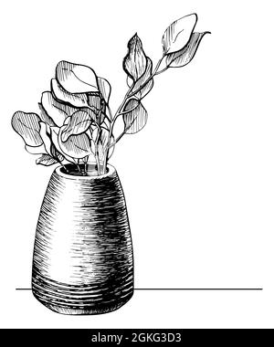 Fleur dans une ligne de pot dessin graphique carte postale. Branche d'arbre dans une illustration vectorielle de vase dessinée à la main. Esquisse de printemps nature d'une plante isolée sur fond blanc Illustration de Vecteur