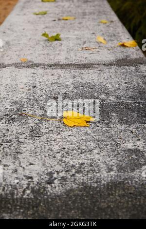 La feuille tombée repose sur un mur de pierre lors d'un après-midi automnal. Mise au point sélective. Photographie verticale. Banque D'Images