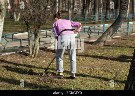 Nettoyage des feuilles avec un râteau. Nettoyer la zone des feuilles tombées. Ordre de mise dans la cour. Banque D'Images