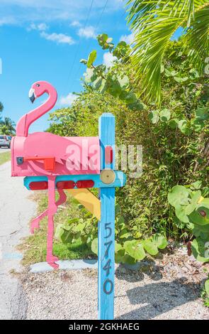 Pink Flamingo boîte aux lettres en bois, fort Myers, Floride, États-Unis Banque D'Images