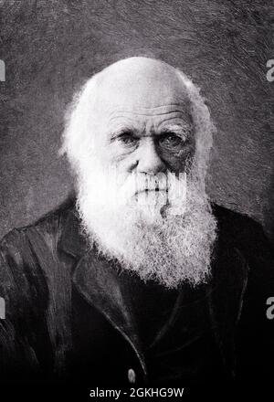 1880 PORTRAIT DES PERSONNES ÂGÉES CHARLES DARWIN NATURALISTE ANGLAIS GÉOLOGUE ET BIOLOGISTE CONNU POUR LES THÉORIES DE LA SCIENCE DE L'ÉVOLUTION - Q64177 CPC001 HARS SAVOIR LEADERSHIP PUISSANTE FIERTÉ AUTORITÉ PROFESSIONS CONCEPTUEL 1880 THÉORIE BIOLOGISTE HOMME ÂGÉ CHARLES GÉOLOGUE IDÉES PRÉCISION FAUNE NOIR ET BLANC CONNU NATURALISTE ANCIEN MODE Banque D'Images