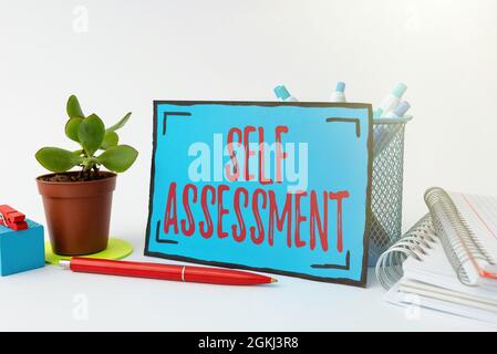 Rédaction affichant le texte de l'auto-évaluation. L'évaluation des idées d'affaires de soi-même ou de l'un est actions et attitudes Tidy Workspace Setup rédaction des outils de bureau Banque D'Images