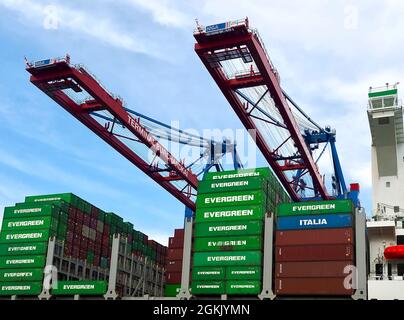 Evergreen - le plus grand navire à conteneurs du monde dans le port de Hambourg Banque D'Images