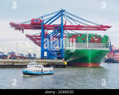 Evergreen - le plus grand navire à conteneurs du monde dans le port de Hambourg Banque D'Images