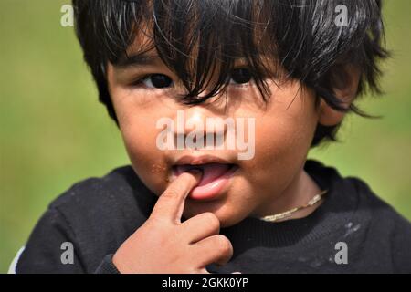 Petit garçon asiatique de souche qui veut faire prendre sa photo, plein visage ayant le plaisir de regarder Banque D'Images