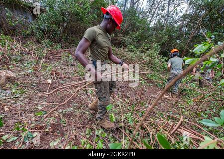 Caporal Quiniek Benjamin, 6e Bataillon des communications, Réserve des Forces maritimes, Brooklyn, New York, Déplace des débris fraîchement coupés pour nettoyer un chantier pendant le Camp Paumalu IRT 2021 au Camp Paumalu, Hawaii, le 11 mai 2021. Les escadrons du génie civil de l'IRT construisent de nouvelles cabines, démolissent d'anciennes structures et embellissent le Camp Paumalau de mai à août 2021. La formation novatrice sur la préparation établit des partenariats civilo-militaires mutuellement avantageux entre les communautés américaines et le ministère de la Défense, fournissant une formation essentielle de haute qualité pour le soutien actif, de la Garde et de la Réserve Banque D'Images