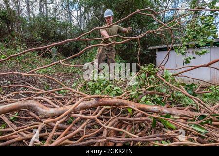 Caporal Byron Daun, 6e Bataillon des communications, Réserve des Forces maritimes, Brooklyn, New York, Déplace des débris fraîchement coupés pour nettoyer un chantier pendant le Camp Paumalu IRT 2021 au Camp Paumalu, Hawaii, le 11 mai 2021. Les escadrons du génie civil de l'IRT construisent de nouvelles cabines, démolissent d'anciennes structures et embellissent le Camp Paumalau de mai à août 2021. Une formation novatrice sur l’état de préparation établit des partenariats civilo-militaires mutuellement avantageux entre les communautés américaines et le ministère de la Défense, fournissant une formation essentielle de haute qualité pour les personnes actives, de garde et de soutien de réserve Banque D'Images