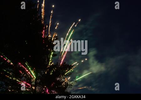 explosion colorée de feux d'artifice près des arbres pendant la fête Banque D'Images