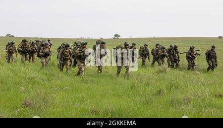 Des soldats d'Allemagne et des pays-Bas, attachés à la Force opérationnelle Falcons, manœuvrent dans la zone de ramassage pendant la réponse Swift 21 à la zone d'entraînement de Babadag, en Roumanie, le 16 mai 2021. SWIFT Response 21 est un exercice lié au Defender 21, un exercice annuel à grande échelle mené par l'armée américaine et mené conjointement par l'armée de terre, un exercice multinational conçu pour renforcer la préparation et l'interopérabilité entre les forces armées américaines, de l'OTAN et des partenaires. Banque D'Images