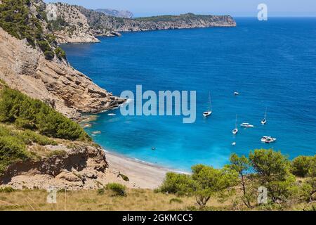 Eaux turquoise de Majorque. Plage de Coll Baix. Côte méditerranéenne. Espagne Banque D'Images