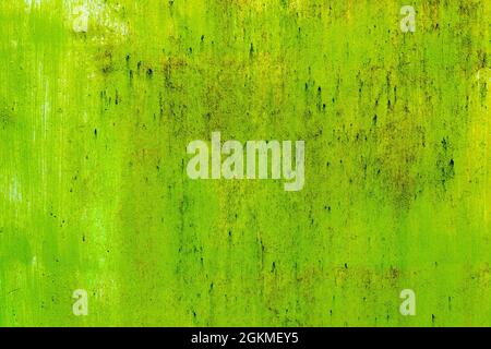 Fond peint rétro en béton vert Banque D'Images
