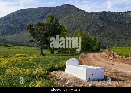 Cheminées d'eau d'Alhajuela dans la région d'Antequera, Malaga. Andalousie, Espagne Banque D'Images