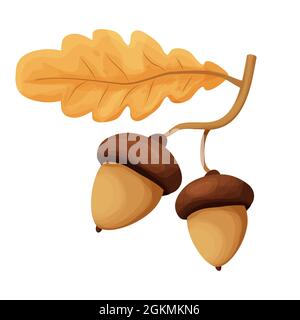 Deux glands sur une branche avec feuille de chêne jaune de style caricature isolée sur fond blanc. Décoration de forêt, élément nature saisonnier. Vecteur illust Illustration de Vecteur