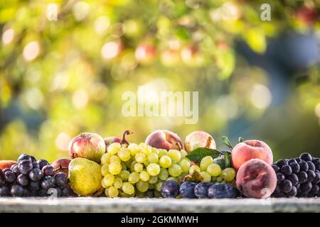 Les fruits mûrs sont alignés sur une table de jardin. Beau bokeh d'arbres de jardin comme arrière-plan. Banque D'Images