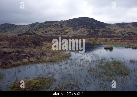 'Armand Fell' se reflète dans un petit Tarn près de 'Fisher Crag' près de Thirlmere, Lake District National Park, Cumbria, Angleterre, Royaume-Uni. Banque D'Images