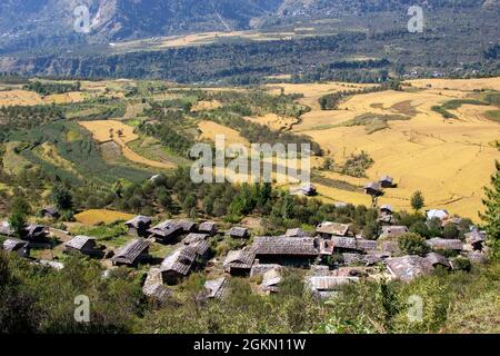 Village de Manali et paysage de la région, Kullu Valley Himachal Pradesh, Inde Banque D'Images
