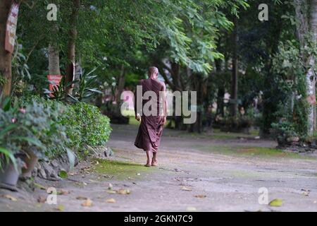 Le disciple bouddhiste marche dans le jardin tropical Banque D'Images