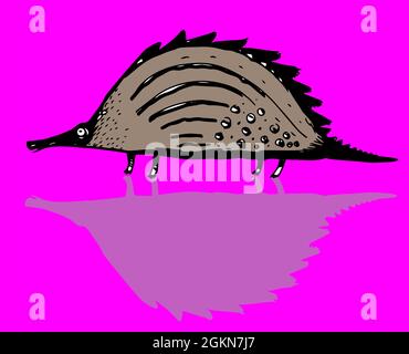 Illustration de dessin humoristique armadillo Banque D'Images