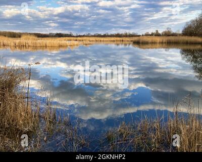 Lac avec des nuages réfléchissent au printemps Banque D'Images