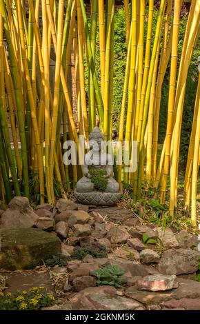 Sculpture de Bouddha en pierre devant un bambou dans le jardin Banque D'Images