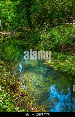 le torrent, riche en eaux sulfureuses, coule entre une végétation luxueuse. Raiano, province de l'Aquila, Abruzzes, Italie, Europe Banque D'Images