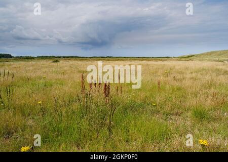 Des nuages de pluie sombres tourbillonnants passent au-dessus d'un pré derrière Horsey Beach à Norfolk Banque D'Images