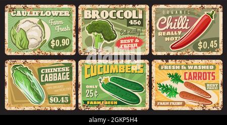 Légumes plaques de métal rouillé, étiquettes de prix vectorielles pour le marché agricole légumes chou-fleur, concombre, Chili et brocoli avec des panneaux de chou chinois ou de carotte vintage rouille. Cartes ferrugineuses d'aliments biologiques Illustration de Vecteur