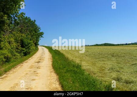 Paysage rural au printemps à Monferrato près de Rivalta Bormida, province d'Alessandria, Piémont, Italie, site du patrimoine mondial de l'UNESCO. Banque D'Images