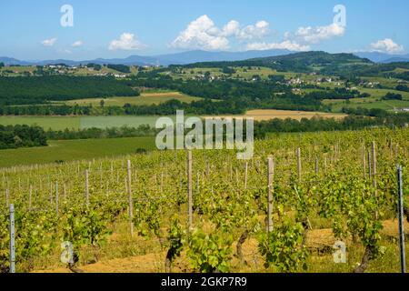 Paysage rural au printemps à Monferrato près de Gavi, province d'Alessandria, Piémont, Italie, site classé au patrimoine mondial de l'UNESCO. Banque D'Images