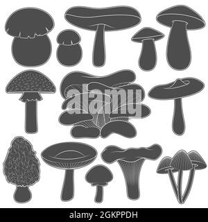 Ensemble d'images en noir et blanc avec champignons. Objets vectoriels isolés sur fond blanc. Illustration de Vecteur