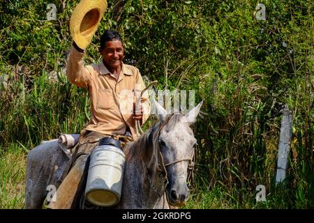 Un cow-boy sur une mule fait vagues son chapeau de paille, Arimao, Cuba, Antilles, Amérique centrale Banque D'Images