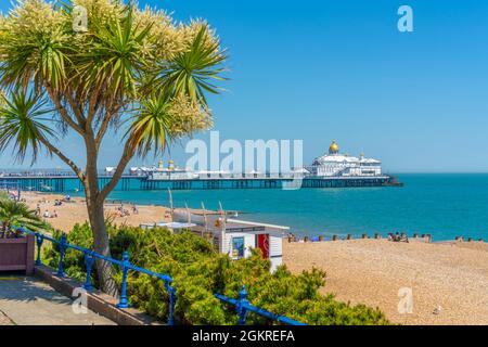 Vue sur la promenade du front de mer, la jetée et la plage en été, Eastbourne, East Sussex, Angleterre, Royaume-Uni, Europe Banque D'Images