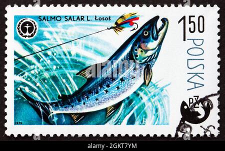 POLOGNE - VERS 1979: Un timbre imprimé en Pologne montre le saumon atlantique, Salmo Salar, est une espèce de poisson, vers 1979 Banque D'Images