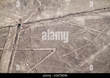 Vue aérienne des géoglyphes près de Nazca - célèbres lignes de Nazca, Pérou. Au centre, la figure Spider est présente. Banque D'Images