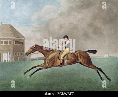 Vintage George Stubbs peinture art cheval Banque D'Images