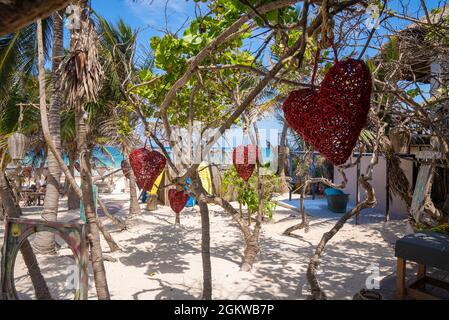 Coeurs tricotés accrochés au tronc d'arbre dans le magnifique complexe de plage Banque D'Images