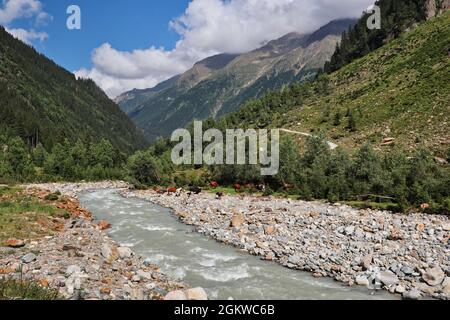 Vue panoramique sur la vallée de Stubai avec des vaches au bord de la rivière Ruetz. Eau courante, montagne, Tyrol, Autriche. Banque D'Images