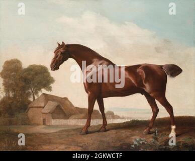 Vintage George Stubbs peinture art cheval Banque D'Images